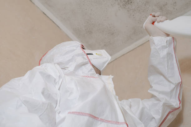 Best HVAC Mold Remediation in Las Maravillas, NM